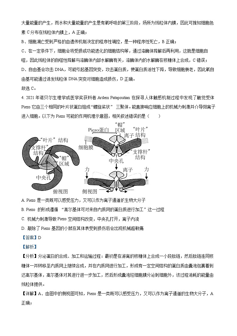湖南省长沙市第一中学2024届高三下学期高考适应性演练（一）生物试题 Word版含解析03