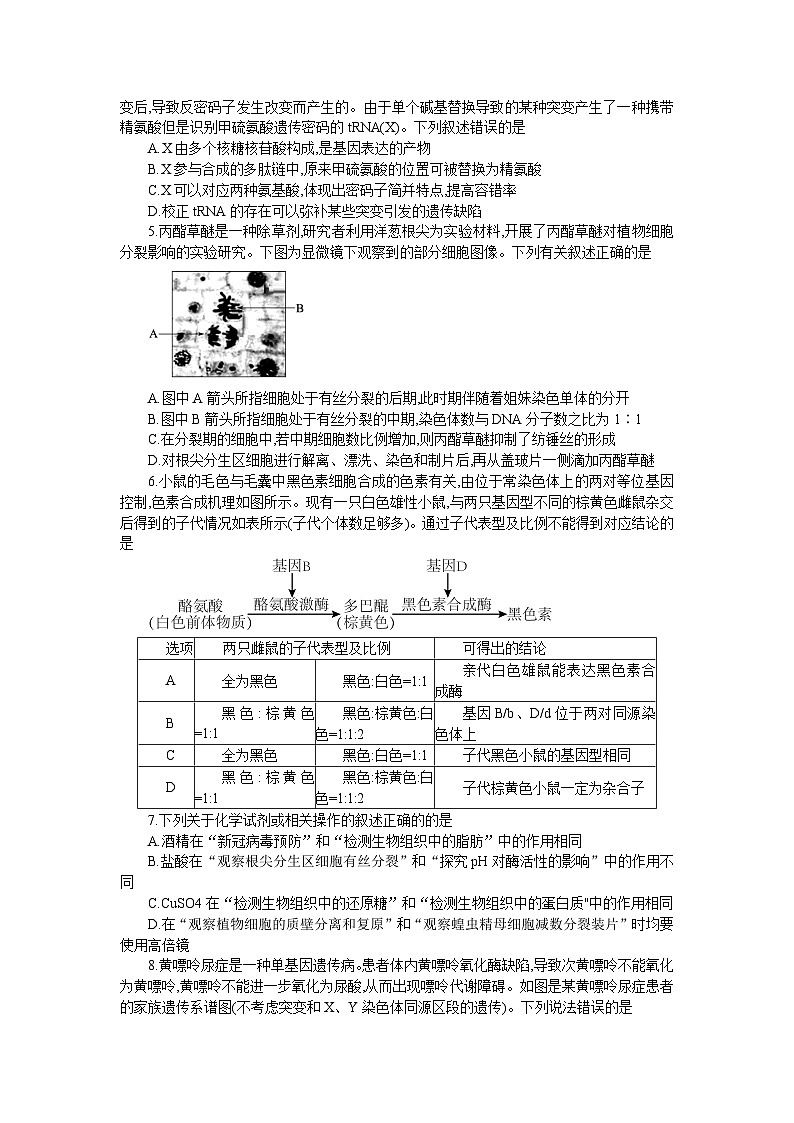 湖南省长沙市雅礼中学2024届高三下学期3月综合测试（一）生物02