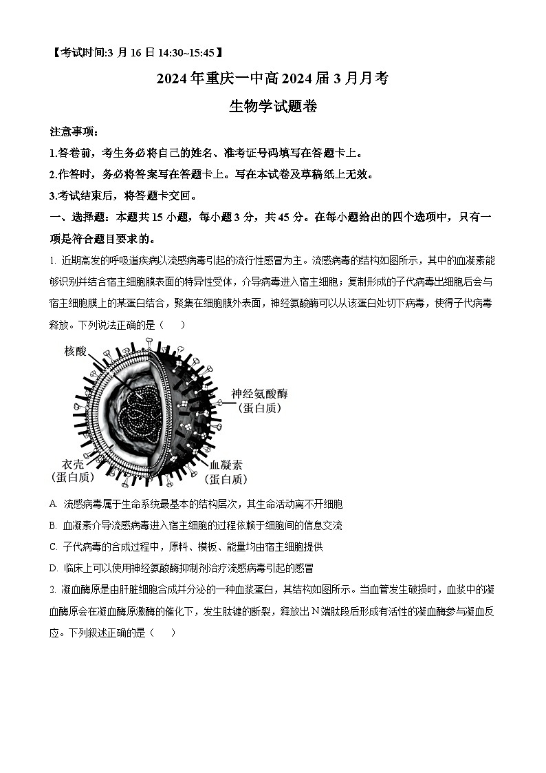 重庆市第一中学2023-2024学年高三下学期3月月考生物试题 Word版无答案第1页