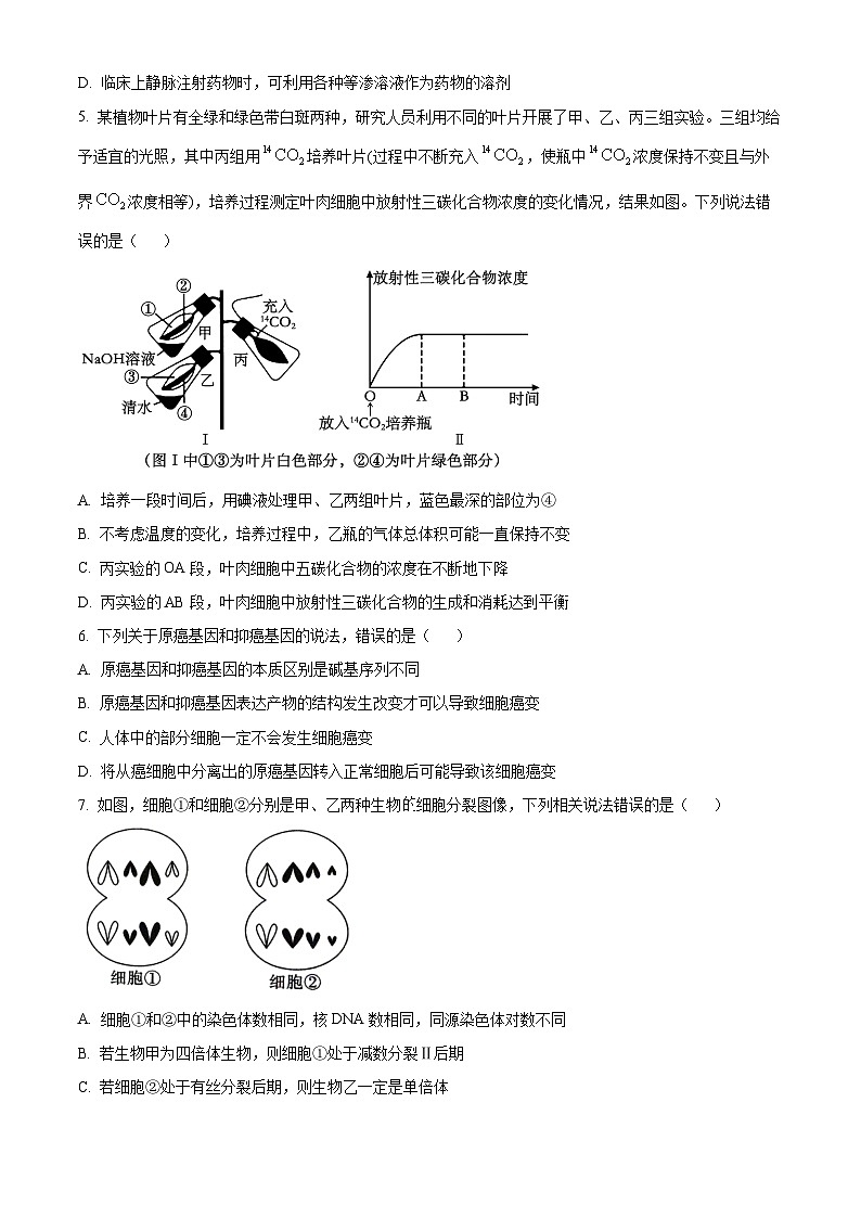 重庆市第一中学2023-2024学年高三下学期3月月考生物试题 Word版无答案第3页