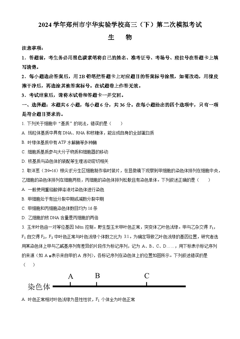 2024届河南省郑州市新郑市宇华实验学校高三二模生物试题（原卷版+解析版）01