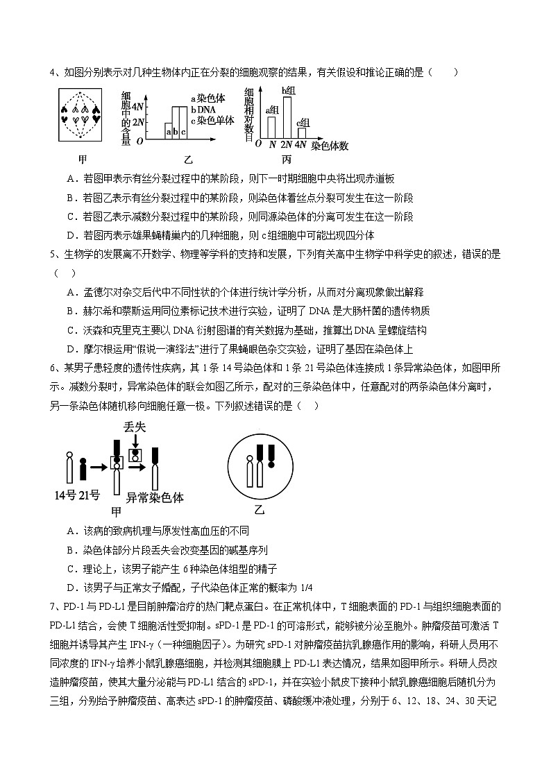卷04-备战2024年高考生物仿真演练模拟预测卷（福建卷）（原卷版）第2页