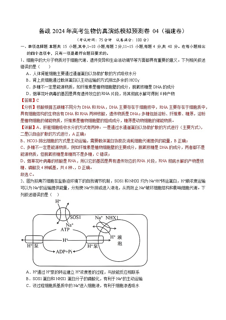 卷04-备战2024年高考生物仿真演练模拟预测卷（福建卷）（解析版）第1页