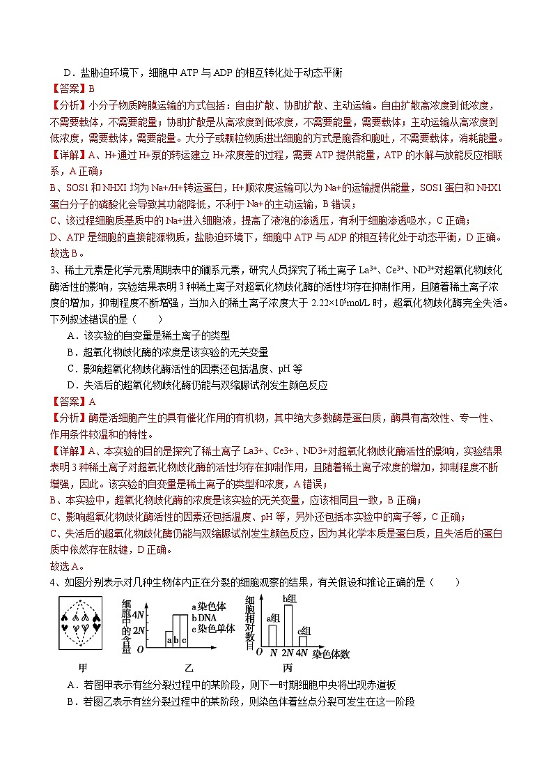 卷04-备战2024年高考生物仿真演练模拟预测卷（福建卷）（解析版）第2页