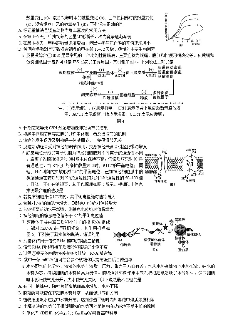重庆市第八中学2024届高考适应性月考卷（六）生物试题第2页