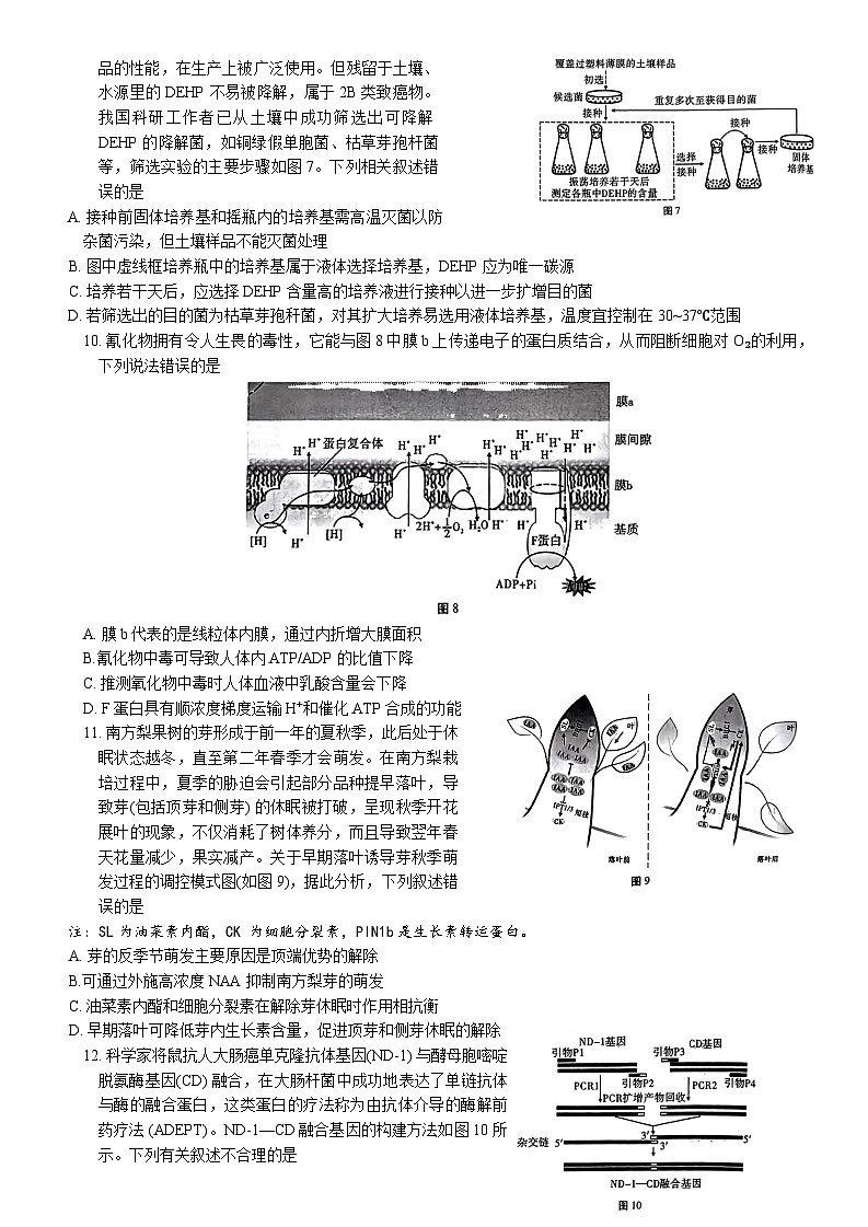 重庆市第八中学2024届高考适应性月考卷（六）生物试题第3页