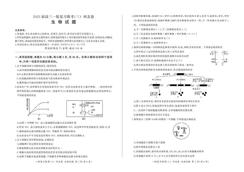 2023 届高三一轮复习联考（三）河北卷生物试题及答案01