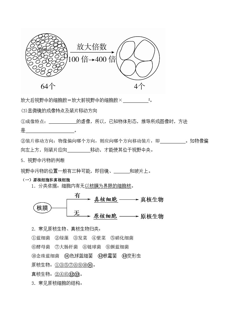 1.2细胞的多样性和统一性学案03