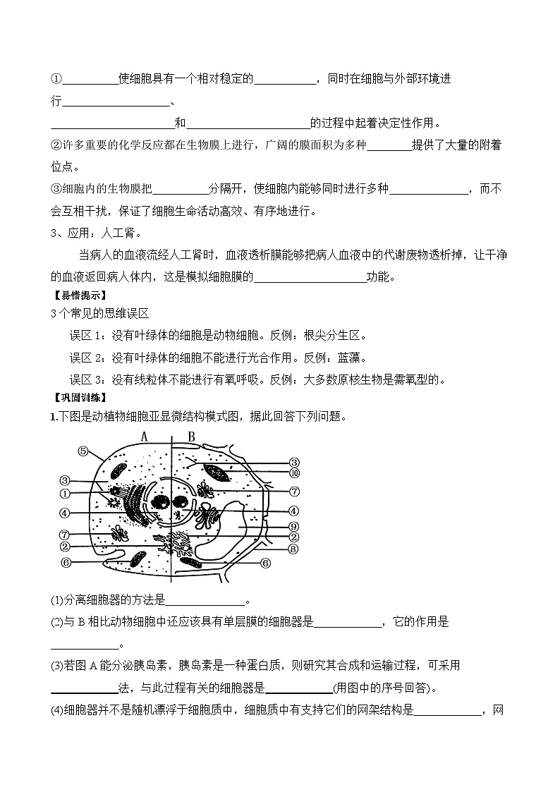 3.2细胞器之间的分工合作学案第3页