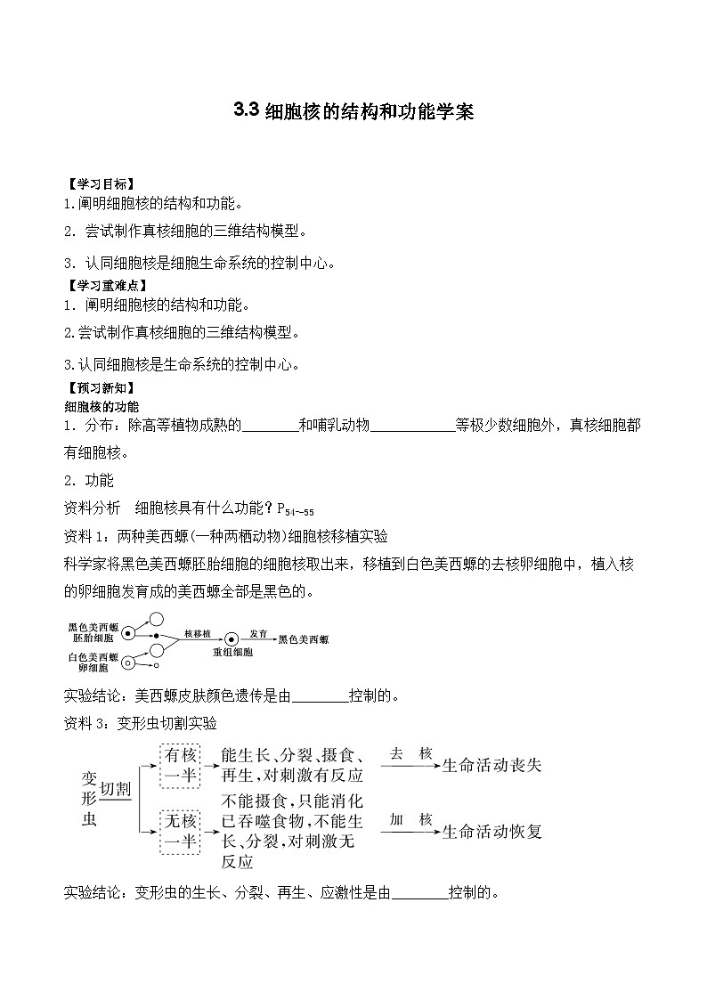 3.3细胞核的结构和功能学案第1页