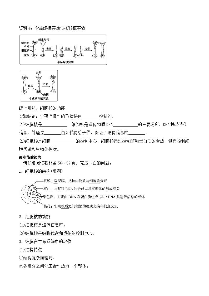 3.3细胞核的结构和功能学案第2页