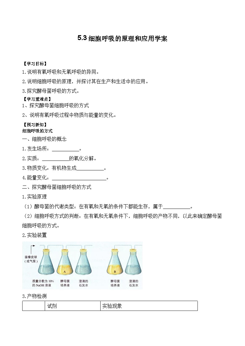 5.3细胞呼吸的原理和应用学案01