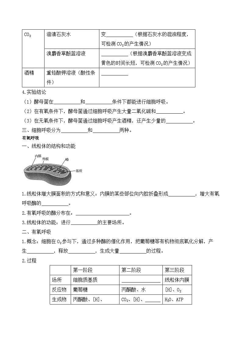 5.3细胞呼吸的原理和应用学案02