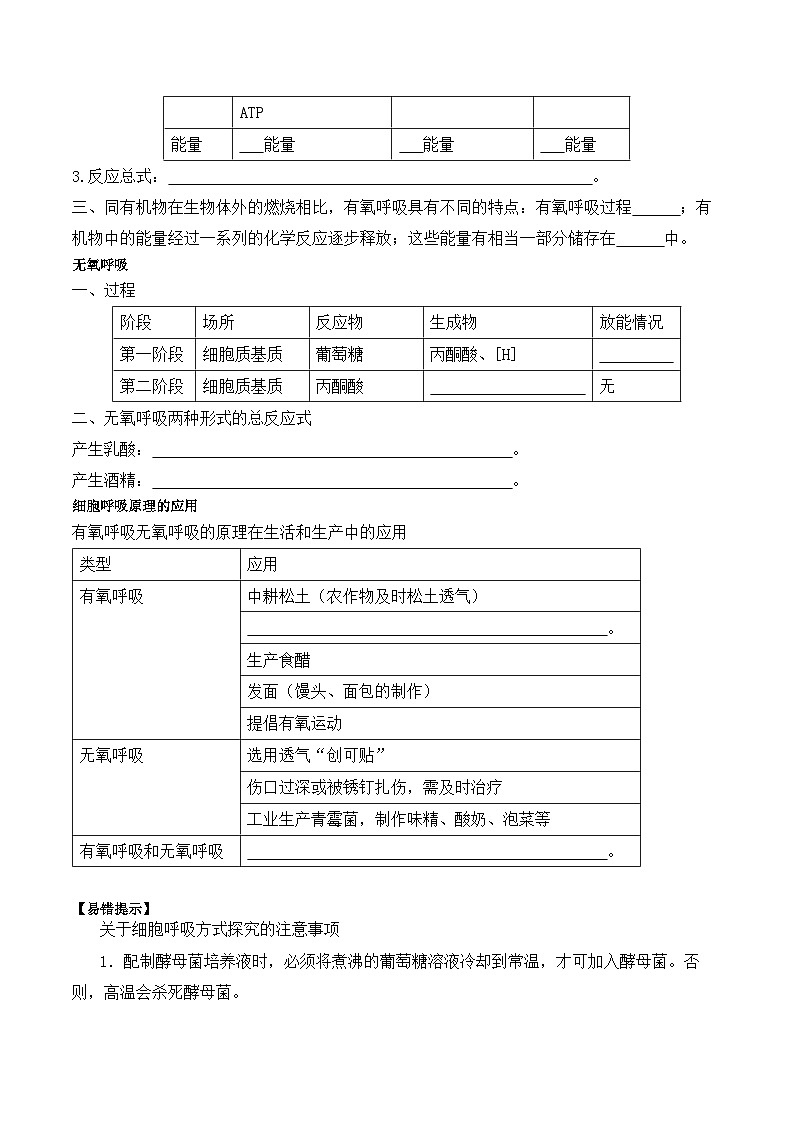 5.3细胞呼吸的原理和应用学案03