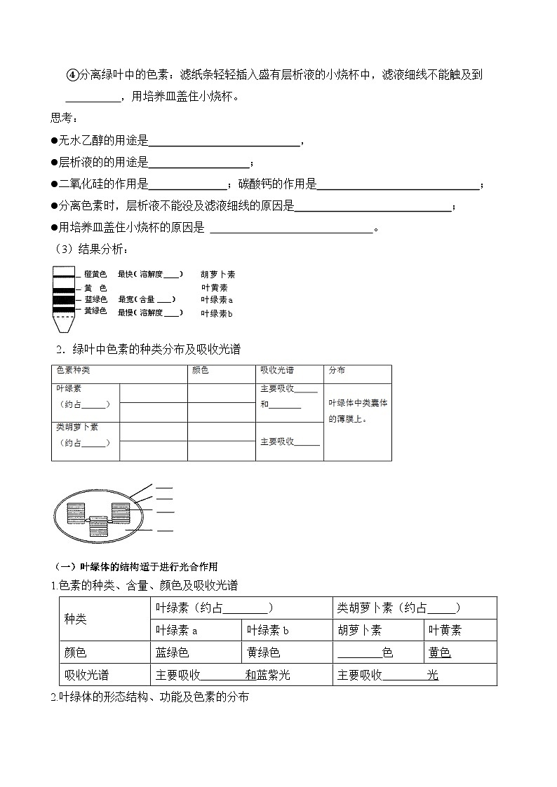 5.4.1 捕获光能的色素和结构学案02