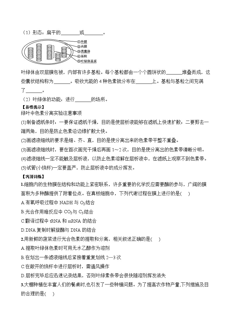 5.4.1 捕获光能的色素和结构学案03