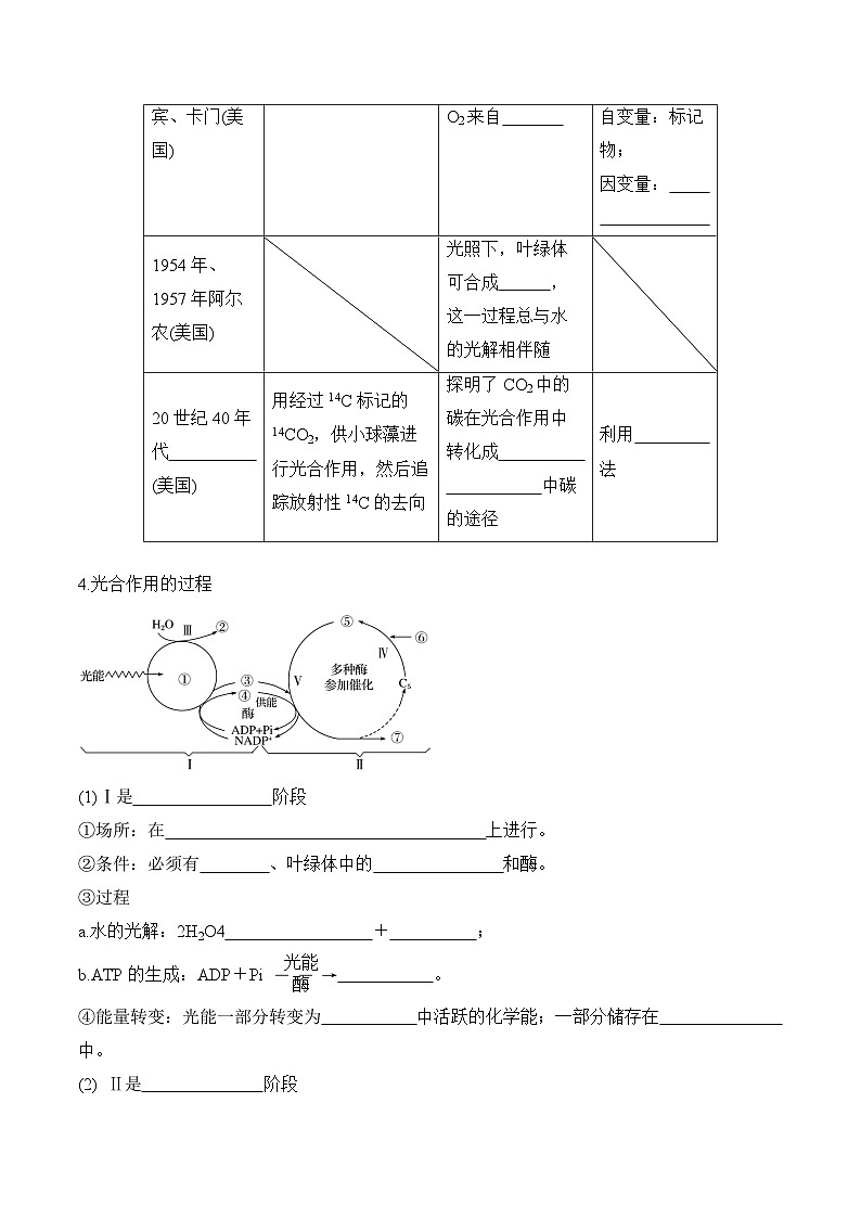 5.4.2 光合作用的原理和应用的学案第2页