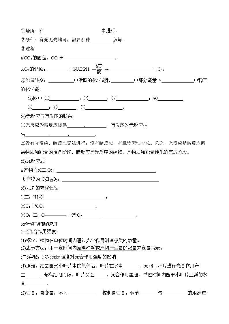 5.4.2 光合作用的原理和应用的学案第3页