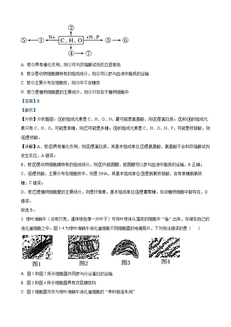 精品解析：重庆市沙坪坝区第一中学校2023-2024学年高一下学期3月月考生物试题（解析版）第2页
