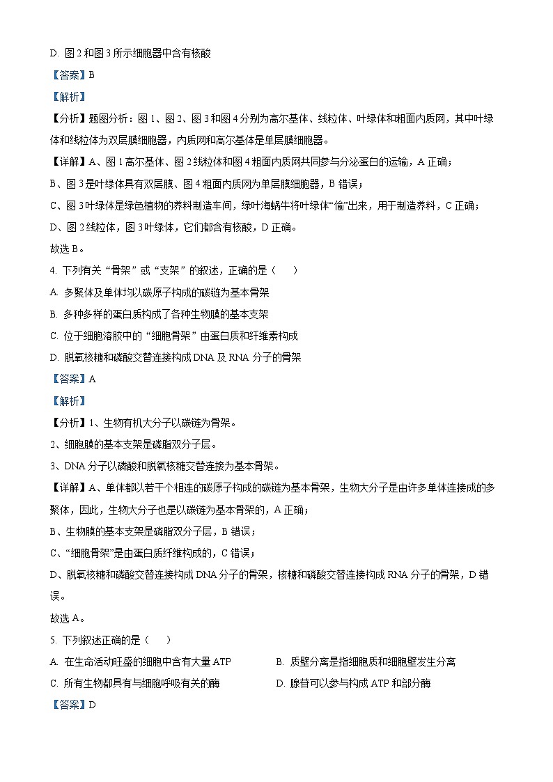 精品解析：重庆市沙坪坝区第一中学校2023-2024学年高一下学期3月月考生物试题（解析版）第3页