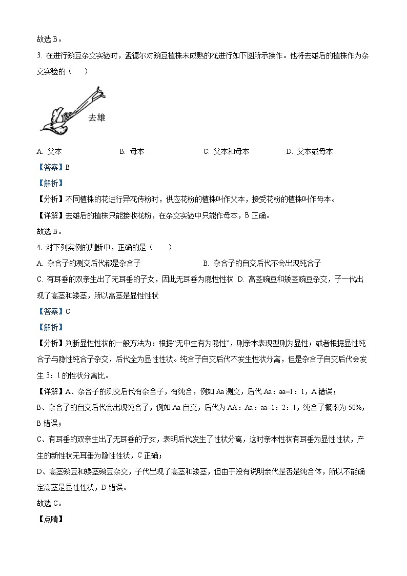 精品解析：河南省三门峡市渑池县第二高级中学2023-2024学年高一下学期3月月考生物试题（解析版）第2页