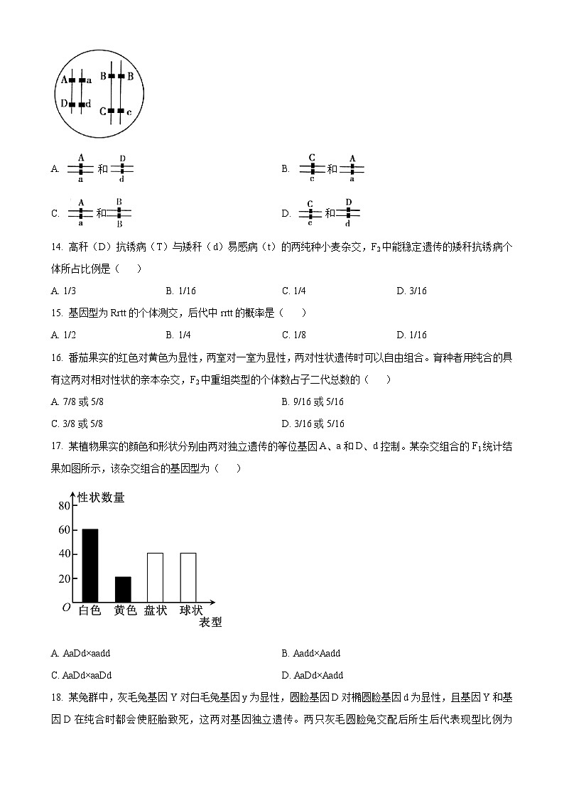 精品解析：河南省三门峡市渑池县第二高级中学2023-2024学年高一下学期3月月考生物试题（原卷版）第3页