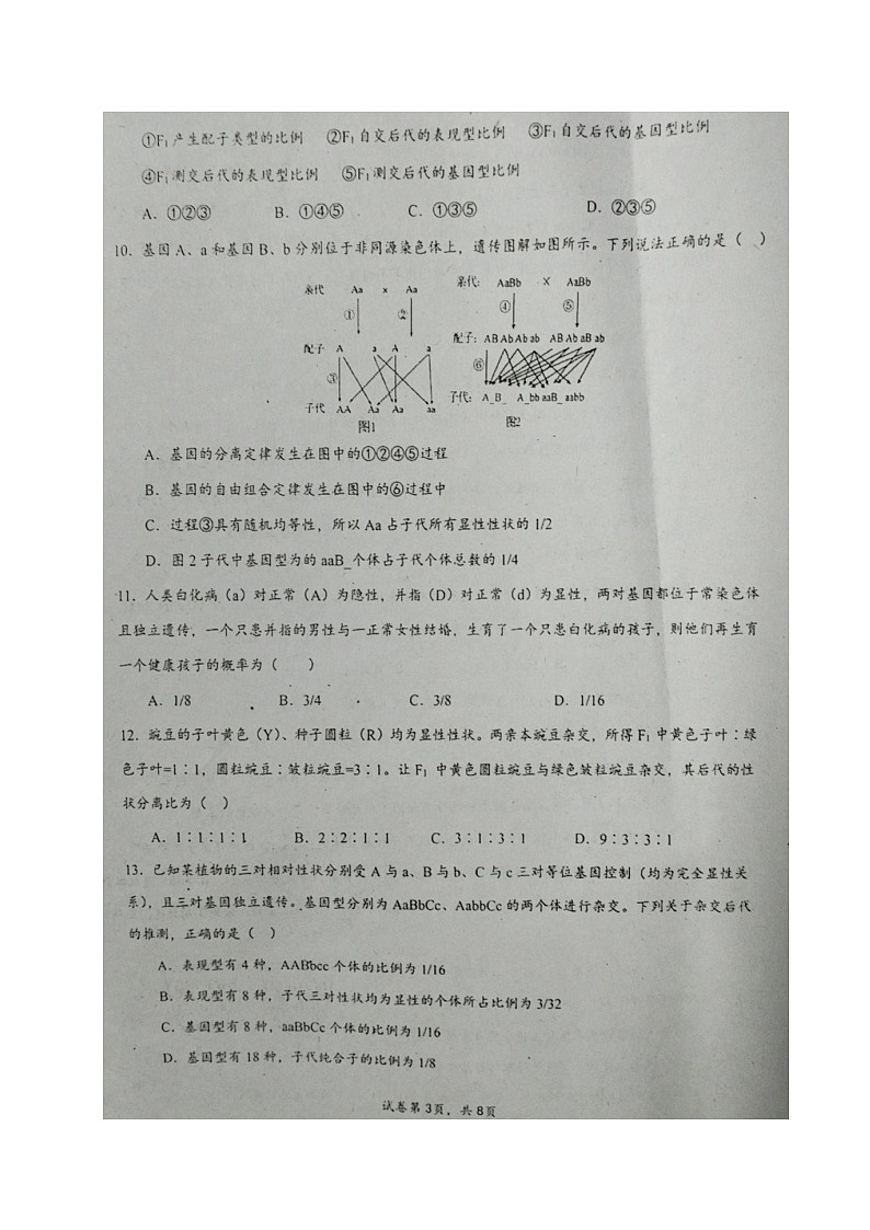 四川省绵阳市三台中学2023-2024学年高一下学期3月月考生物试题第3页