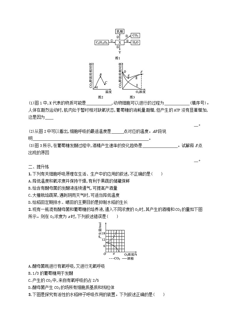 2025届高考生物一轮复习专项练习课时规范练9细胞呼吸的影响因素及应用探究酵母菌细胞呼吸的方式03