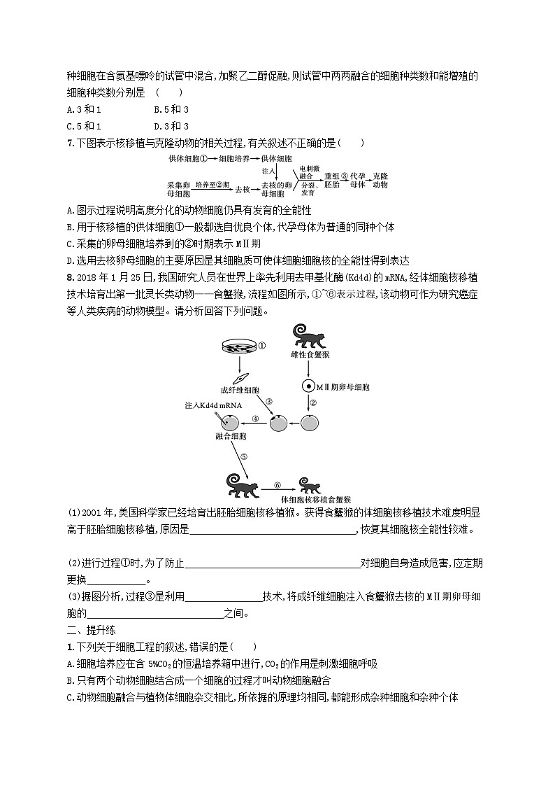2025届高考生物一轮复习专项练习课时规范练40动物细胞工程第2页