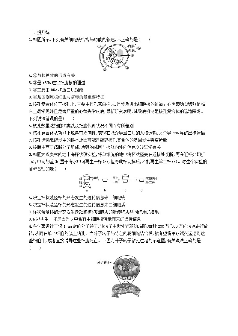 2025届高考生物一轮复习专项练习课时规范练4细胞膜和细胞核第3页