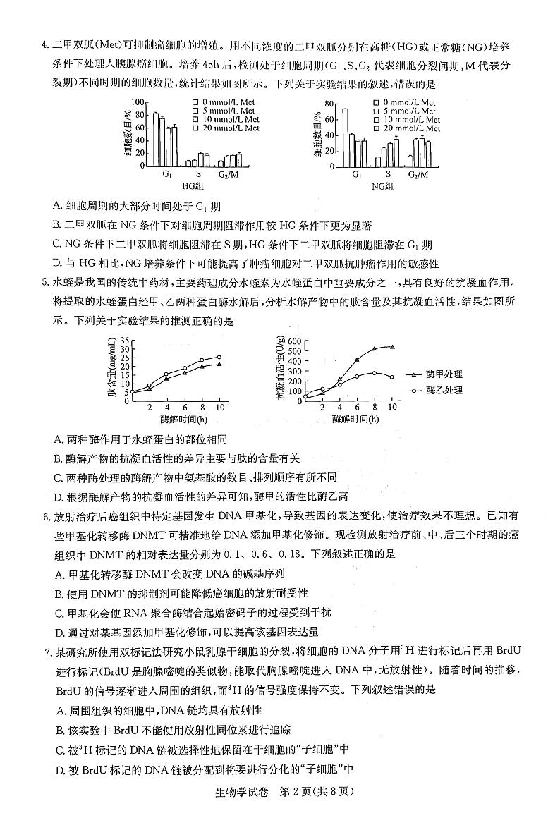 湖北省高中名校联盟2023-2024学年高三下学期3月一模测评生物试卷（PDF版附解析）02