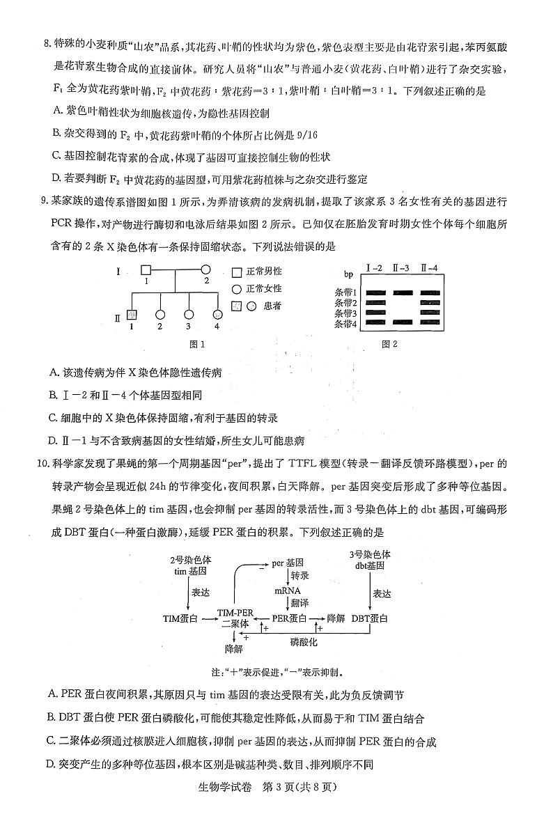 湖北省高中名校联盟2023-2024学年高三下学期3月一模测评生物试卷（PDF版附解析）03