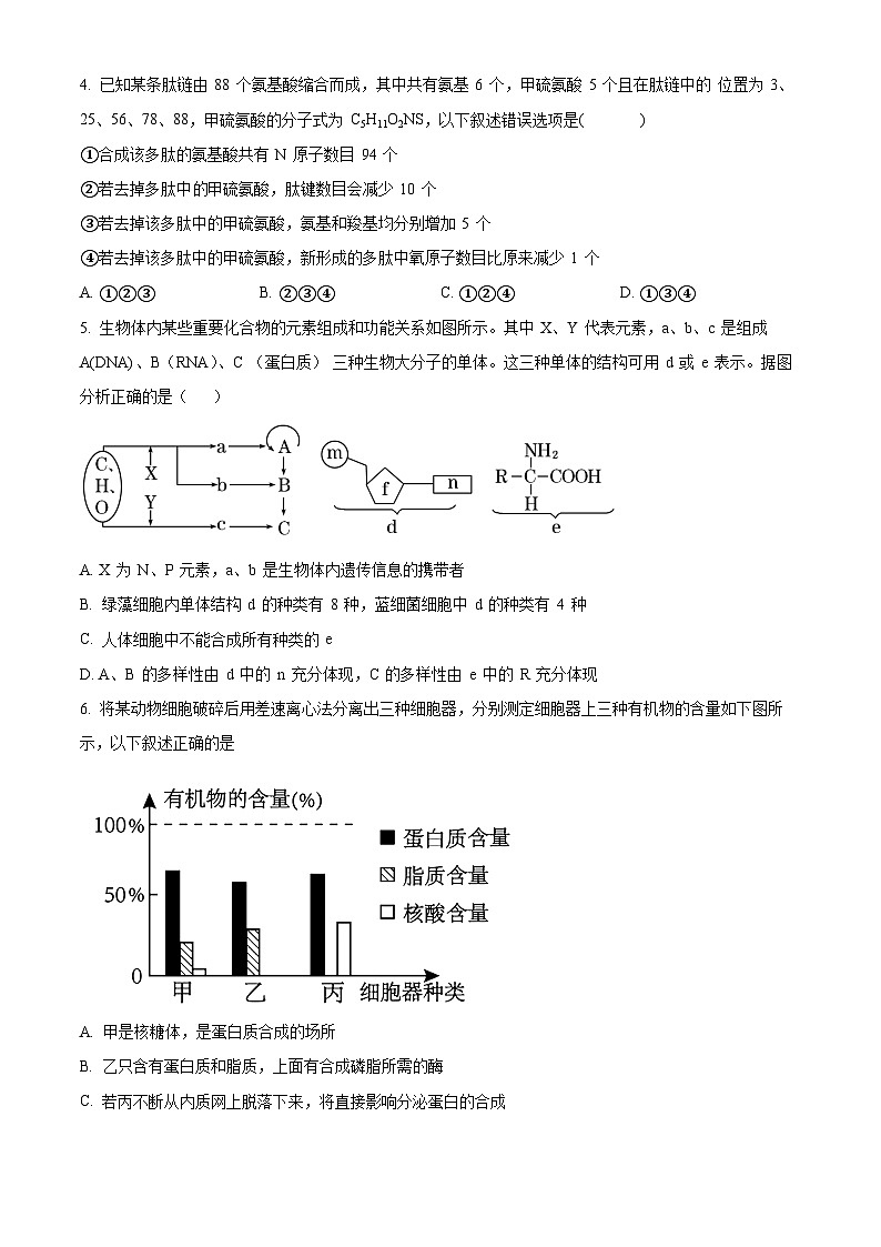 安徽省安庆市桐城中学2023-2024学年高一下学期开学考试生物试卷（Word版附解析）02