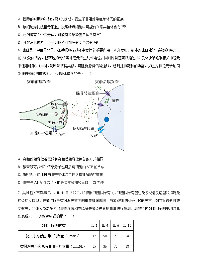 安徽省名校教研联盟2023-2024学年高三下学期3月联考生物试卷（Word版附解析）03