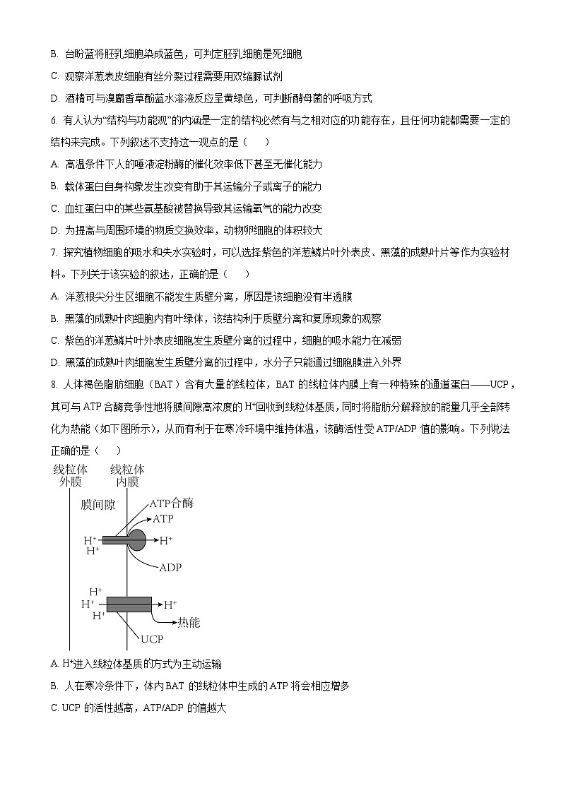 安徽省芜湖市安徽师范大学附属中学2023-2024学年高一下学期3月月考生物试卷（Word版附解析）02