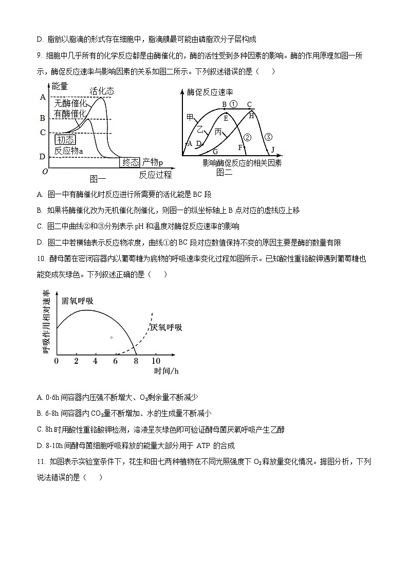 安徽省芜湖市安徽师范大学附属中学2023-2024学年高一下学期3月月考生物试卷（Word版附解析）03