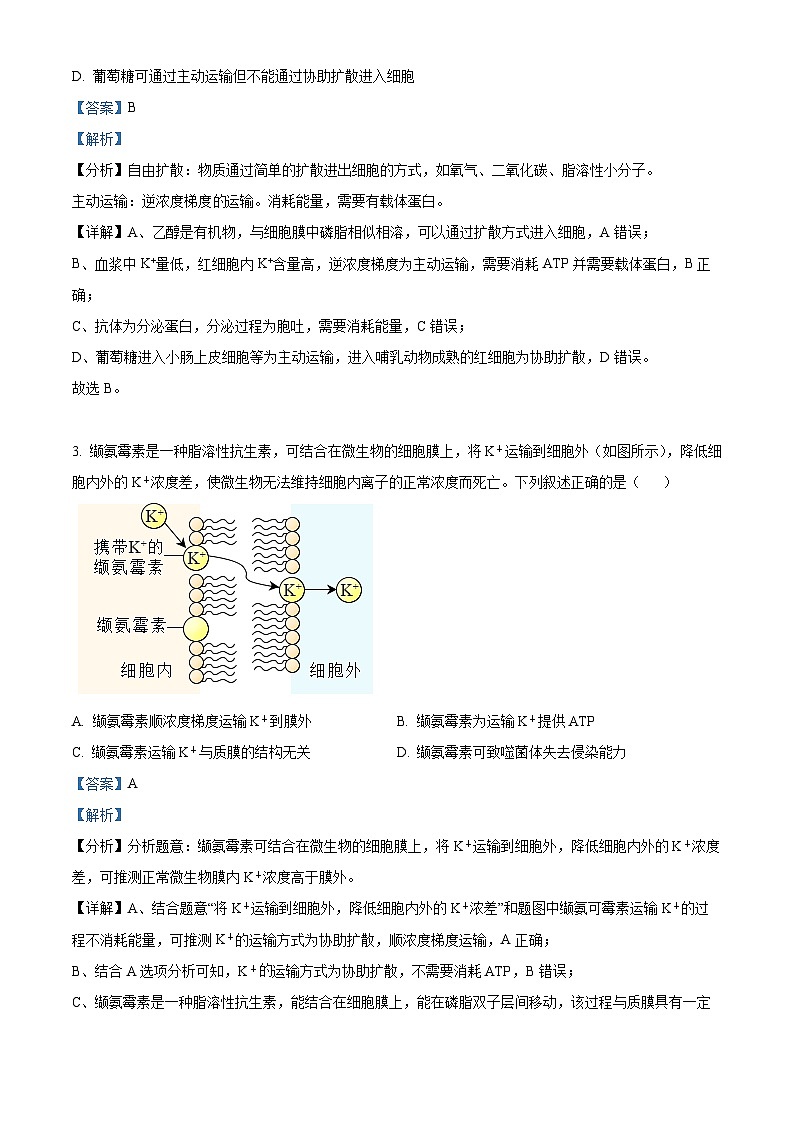 精品解析：安徽省亳州市第五完全中学2023-2024学年高一下学期3月月考生物试题（解析版）第2页