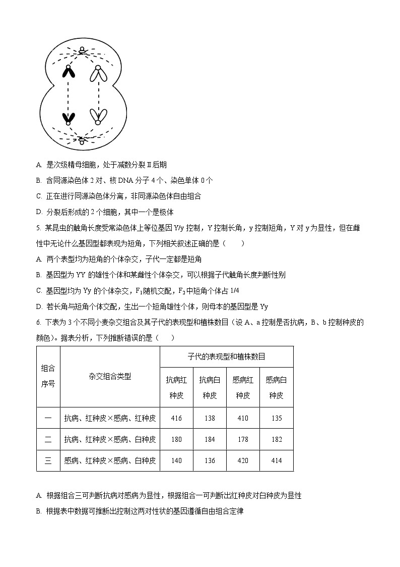 精品解析：河南省漯河市源汇区漯河市高级中学2023-2024学年高一下学期3月月考生物试题（原卷版）第2页
