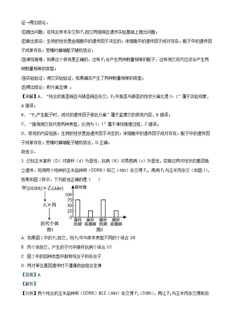 精品解析：河南省漯河市源汇区漯河市高级中学2023-2024学年高一下学期3月月考生物试题（解析版）第2页