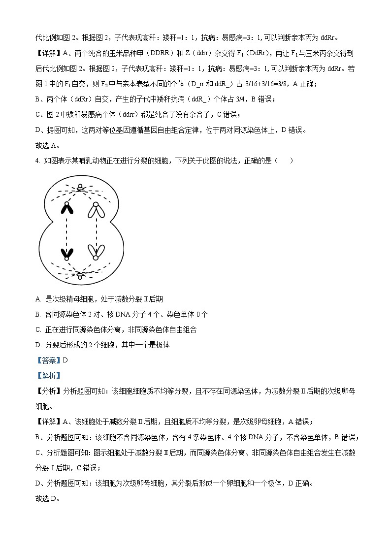 精品解析：河南省漯河市源汇区漯河市高级中学2023-2024学年高一下学期3月月考生物试题（解析版）第3页