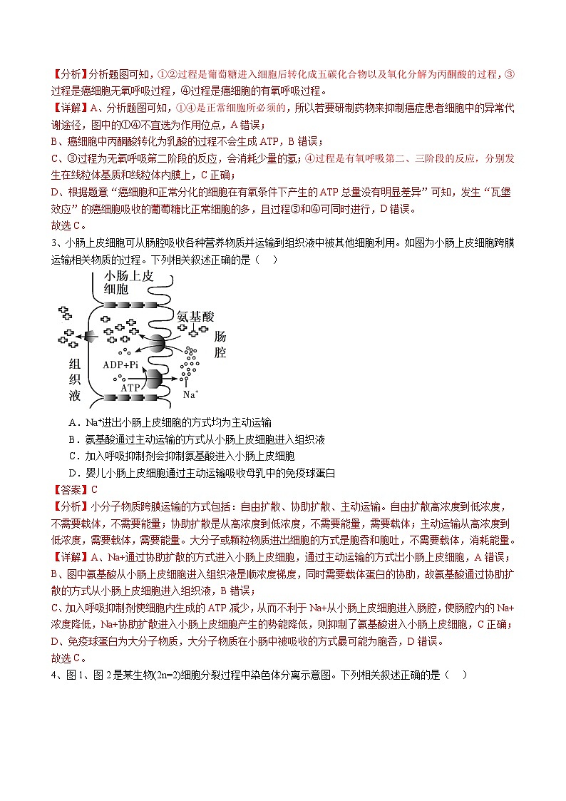 备战2024年高考生物仿真演练模拟预测卷（安徽卷）02（Word版附解析）02