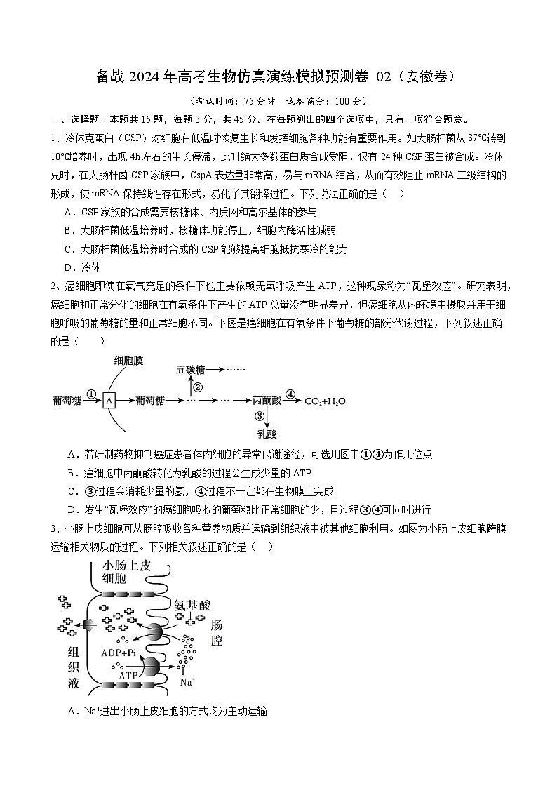 备战2024年高考生物仿真演练模拟预测卷（安徽卷）02（Word版附解析）01