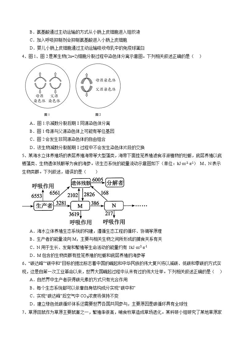 备战2024年高考生物仿真演练模拟预测卷（安徽卷）02（Word版附解析）02