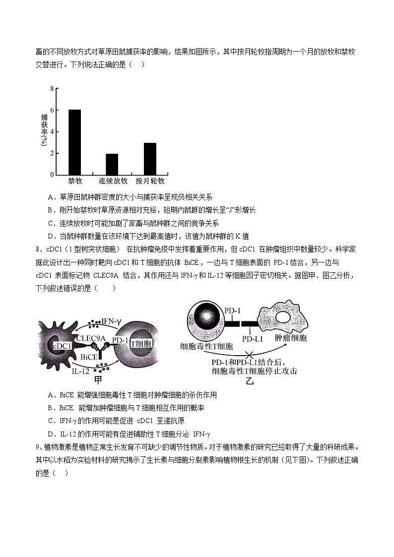 备战2024年高考生物仿真演练模拟预测卷（安徽卷）02（Word版附解析）03