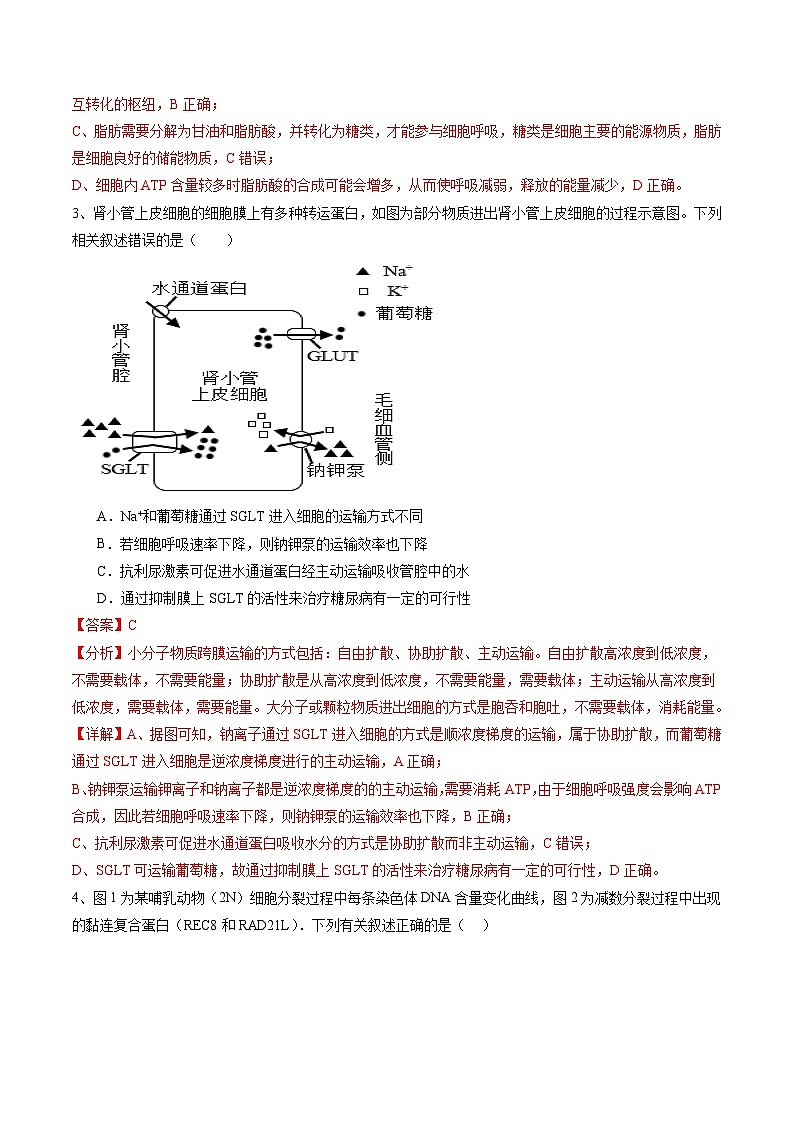 备战2024年高考生物仿真演练模拟预测卷（安徽卷）01（Word版附解析）02