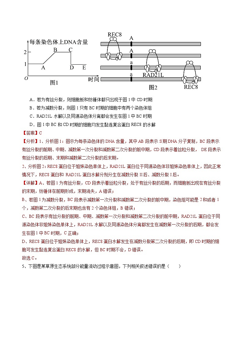 备战2024年高考生物仿真演练模拟预测卷（安徽卷）01（Word版附解析）03