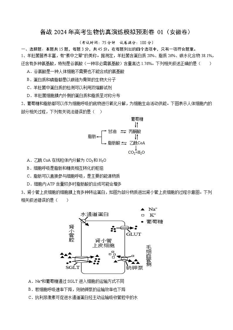 备战2024年高考生物仿真演练模拟预测卷（安徽卷）01（Word版附解析）01
