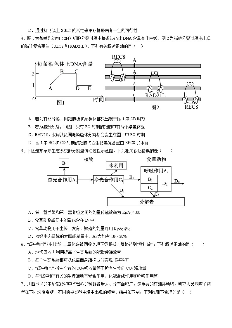 备战2024年高考生物仿真演练模拟预测卷（安徽卷）01（Word版附解析）02