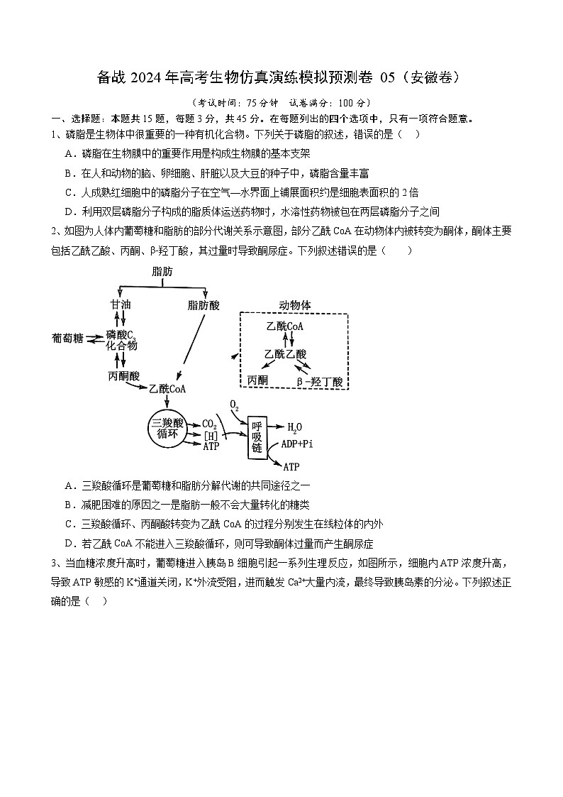 备战2024年高考生物仿真演练模拟预测卷（安徽卷）05（Word版附解析）01
