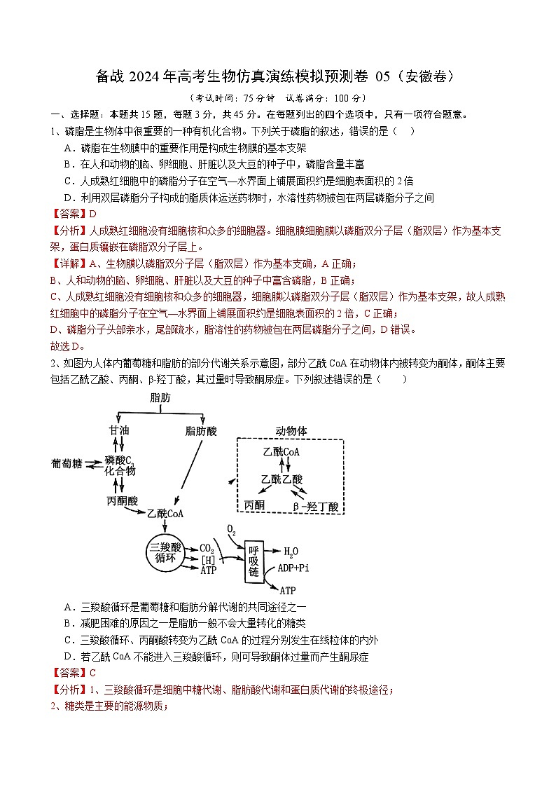 备战2024年高考生物仿真演练模拟预测卷（安徽卷）05（Word版附解析）01
